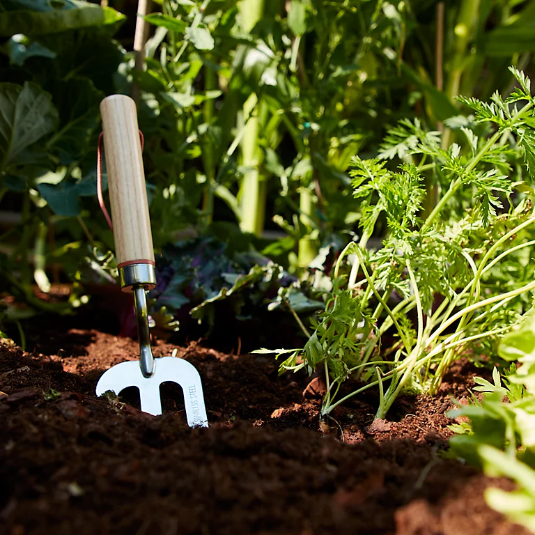 Castorama Fourche à Main Durum GoodHome 31 X 7,6 Cm 3 Castorama Fourche à Main Durum GoodHome 31 X 7,6 Cm