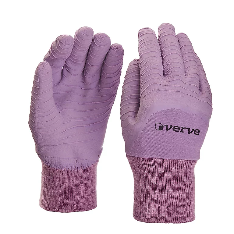 Castorama Gants De Jardinage Enduit Latex Lavande Verve - Taille 8 (M) 3 Castorama Gants De Jardinage Enduit Latex Lavande Verve - Taille 8 (M)
