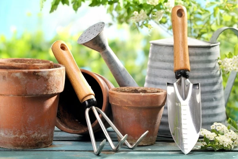 Page de garde -Pot de fleurs Soldes how to choose the right garden tools 1580716251 1580716385 s
