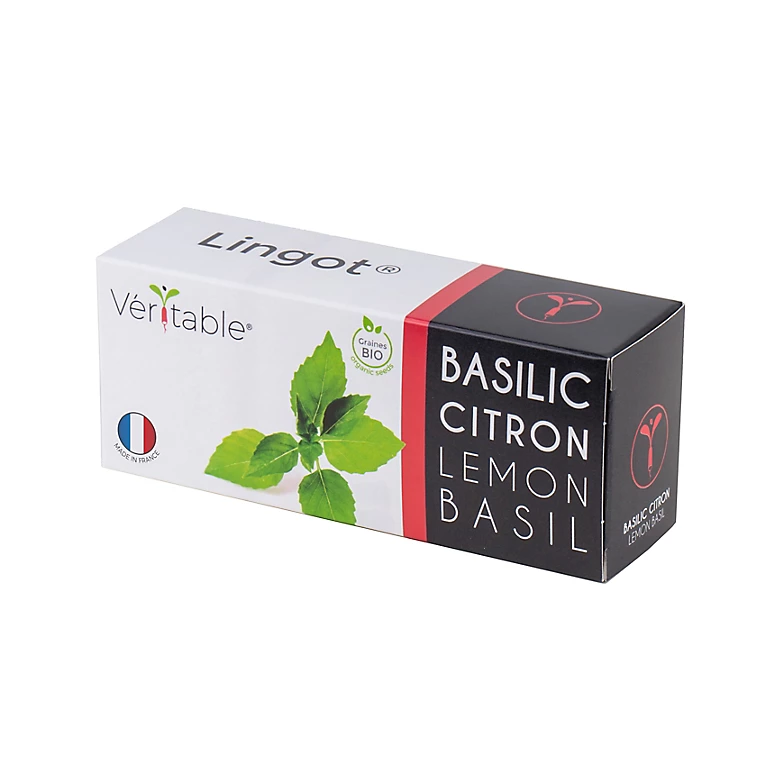 Castorama Lingot® Basilic Citron Bio Pour Potager Véritable® 3 Castorama Lingot® Basilic Citron Bio Pour Potager Véritable®