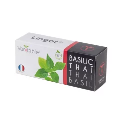 Castorama Lingot® Basilic Thaï Bio Pour Potager Véritable®