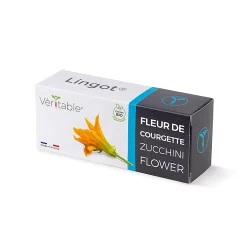 Castorama Lingot® Fleur De Courgette Comestible Pour Potager Véritable®
