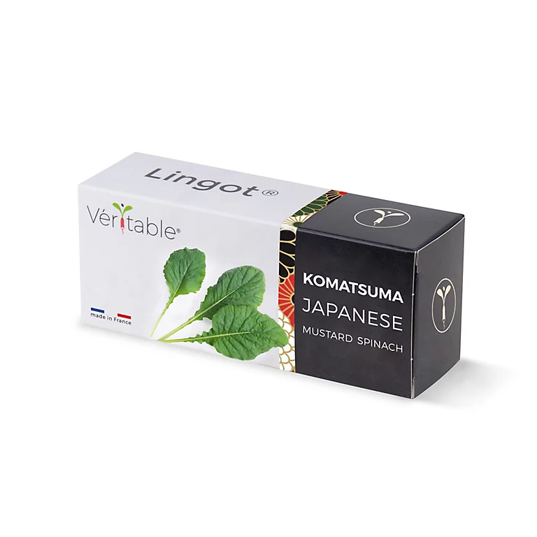 Castorama Lingot® Komatsuma Pour Potager Véritable® 3 Castorama Lingot® Komatsuma Pour Potager Véritable®