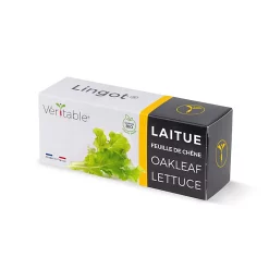 Castorama Lingot® Laitue Feuille De Chêne Bio Pour Potager Véritable®