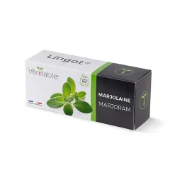 Castorama Lingot® Marjolaine Bio Pour Potager Véritable®