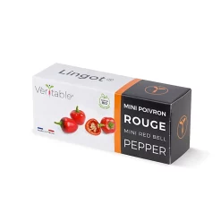 Castorama Lingot® Mini Poivron Rouge Bio Pour Potager Véritable®