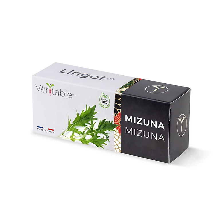 Castorama Lingot® Mizuna Bio Pour Potager Véritable® 3 Castorama Lingot® Mizuna Bio Pour Potager Véritable®