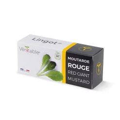 Castorama Lingot® Moutarde Rouge Bio Pour Potager Véritable®