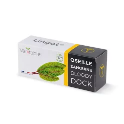 Castorama Lingot® Oseille Sanguine Bio Pour Potager Véritable®