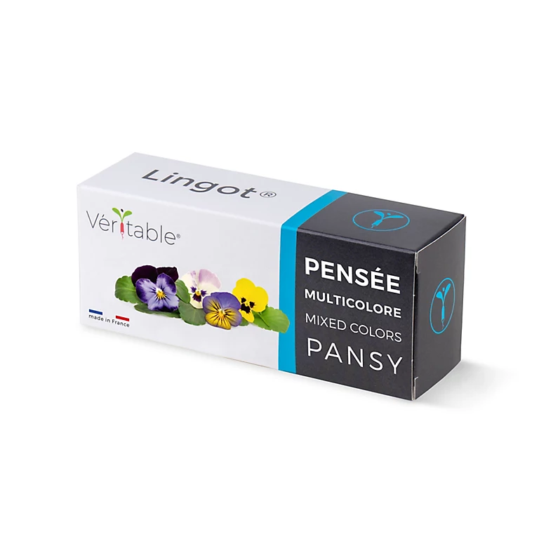 Castorama Lingot® Pensée Multicolore Comestible Pour Potager Véritable® 3 Castorama Lingot® Pensée Multicolore Comestible Pour Potager Véritable®