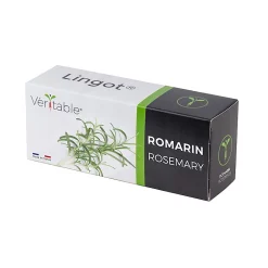 Castorama Lingot® Romarin Pour Potager Véritable®