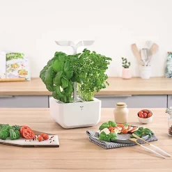 Castorama Potager D'intérieur Exky® Classic Arctic White