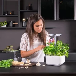 Castorama Potager D'intérieur Exky® Smart Arctic White