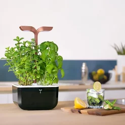 Castorama Potager D'intérieur Exky® Smart Copper