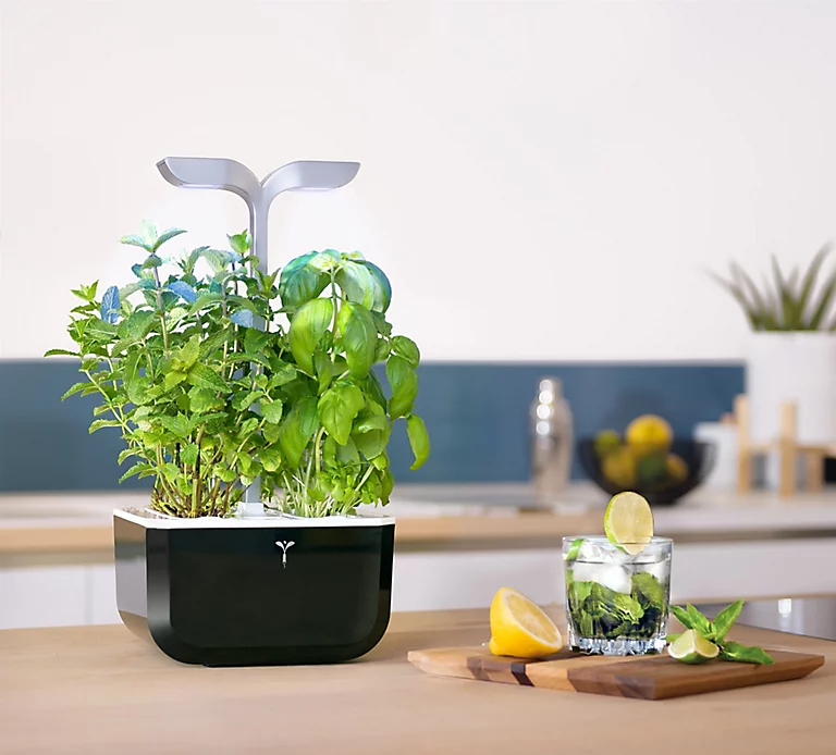 Castorama Potager D'intérieur Exky® Smart Soft Black 3 Castorama Potager D'intérieur Exky® Smart Soft Black