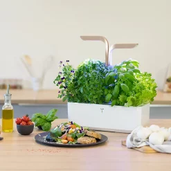 Castorama Potager D'intérieur Véritable® Connect Moonlight Gold