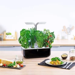 Castorama Potager D'intérieur Véritable® Smart Soft Black