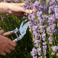 Castorama Sécateur à Lames Franches Durum GoodHome 21,5 X 7,3 Cm