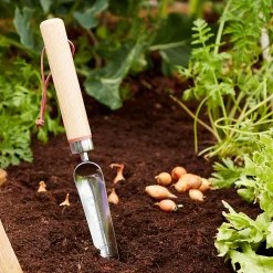 Castorama Transplantoir à Main étroit Durum GoodHome 37 X 3,4 Cm