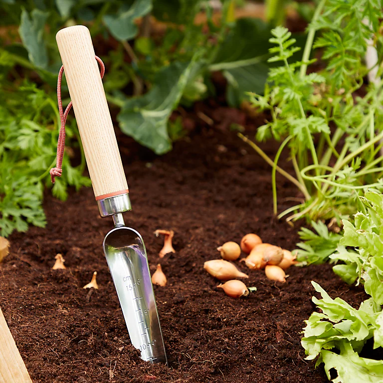 Castorama Transplantoir à Main étroit Durum GoodHome 37 X 3,4 Cm 3 Castorama Transplantoir à Main étroit Durum GoodHome 37 X 3,4 Cm