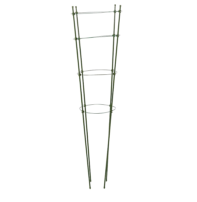 Castorama Tuteur Colonne Verve Kitchen Garden Vert H.130 Cm 4 Niveaux 3 Castorama Tuteur Colonne Verve Kitchen Garden Vert H.130 Cm 4 Niveaux